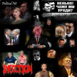 In FECTION : Political Nit